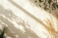 Sunlight illuminates textured wall, casting shadows of plants, creating cozy and serene atmosphere Royalty Free Stock Photo