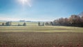 Sunlight illuminating a vast green field on a radiant day