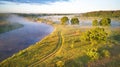 Sunlight on large oak trees grove in morning. Aerial view Royalty Free Stock Photo