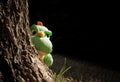 dinosaur doll peeking gesture behind tree trunk Royalty Free Stock Photo