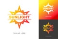 Sunlight logo set trendy gradient style for summer fest, eco company