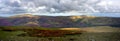 Sunlight and Heather on the Northern Fells Royalty Free Stock Photo