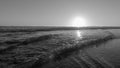 Sunlight on ocean at sunset. Low angle closeup. Black and white, high contrast image. Royalty Free Stock Photo