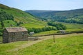 Sunlight on old stone barns at Angram, Yorkshire Dales, with Kisdon Fell on the left. Royalty Free Stock Photo