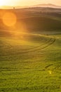 Sunlight over the farms and wheat fields Royalty Free Stock Photo