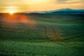 Sunlight over the farms and wheat fields Royalty Free Stock Photo