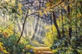 Sunlight park alley forest rural landscape Original artistic modern impressionism art Royalty Free Stock Photo