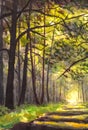 Sunlight park alley forest rural landscape Original artistic modern Royalty Free Stock Photo