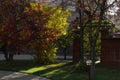 Sunlight partially illuminates a dark, shady garden with lanterns, paths and a dome, on an early autumn morning.