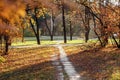 Sunlight, a path in the autumn forest. Autumn landscape. Park with alley. Copy spase Royalty Free Stock Photo
