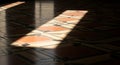 Sunlight on Patterned Tile Floor Royalty Free Stock Photo