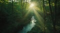 Sunlight penetrates through the gaps in the trees, the green forest is very lush and the river flows in the middle Royalty Free Stock Photo