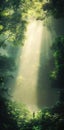 Magical Forest Rays Lone Figure Walking in Sunlit Misty Jungle Royalty Free Stock Photo