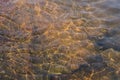 Reflection of sunlight under water makes beautiful pattern