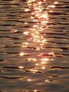 The sunlight reflected the golden sparkling water surface. Royalty Free Stock Photo