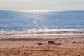 Sunlight reflecting on sparkling blue sea at Southwold beach in the UK Royalty Free Stock Photo