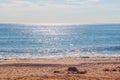 Sunlight reflecting on sparkling blue sea at Southwold beach in UK