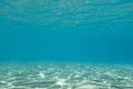 Sunlight reflections underwater. Royalty Free Stock Photo
