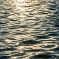 Sunlight reflects off a rippled water surface creating a shimmering pattern Royalty Free Stock Photo