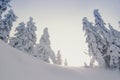 Sunlight rising above snowy mountain slope landscape photo