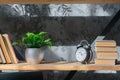 Sunlight shadow on storage shelves with books and flowers Royalty Free Stock Photo