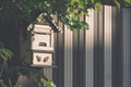 Sunlight and shadow on surface of the old wooden mailbox with green branch on artificial wood gate in front of vintage home Royalty Free Stock Photo