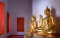 Sunlight shine through wooden window onto row of beautiful golden buddha statues inside of Thai temple Royalty Free Stock Photo