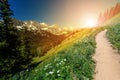 Sunlight shines on a dirt hiking trail in a Colorado Rocky Mountain landscape Royalty Free Stock Photo