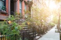 Sunlight shines on historic brownstone buildings in New York City Royalty Free Stock Photo