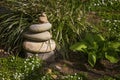 Stacked rocks sits amongst plants in a natural garden