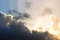 Sunlight shines through storm clouds with silver lining and birds Royalty Free Stock Photo