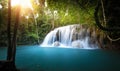 Sunlight shines through trees and leaves of tropical forest Royalty Free Stock Photo