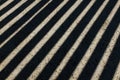 Sunlight shines through wooden fence and makes geometric stripes shadows on the ground. Shadows of wooden fence on the
