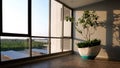 Decorative houseplant inside of office building area in modern style Royalty Free Stock Photo