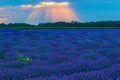 Blooming lavender field sun shining through clouds Royalty Free Stock Photo