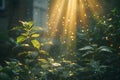 Sunlight Shining Through Leaves of Plant Generative AI Royalty Free Stock Photo