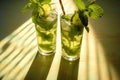 sunlight shining through mojito glasses casting shadows