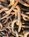 Sunlight shining on the rusted links of an old anchor chain. Royalty Free Stock Photo