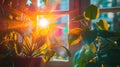 Sunlight shining through a window onto house plants Royalty Free Stock Photo