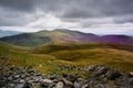 Sunlight on Skiddaw Forest Royalty Free Stock Photo