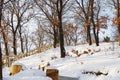 Sunlight on snow field