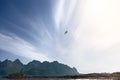 Sunlight streaks through the clouds, casting a glow on a lone seagull in flight above the rugged terrain of Norway\'s Lofoten Royalty Free Stock Photo