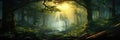 Sunlight Streaming Through A Dense Forest Canopy, Creating A Magical Ambiance