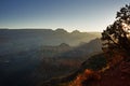 Sunlight Streaming Into The Grand Canyon