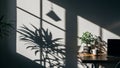 Sunlight casting strong geometric shadows of plants and window panes onto a white wall image Royalty Free Stock Photo