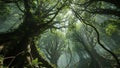 Sunbeams Filter Through Dense Jungle Canopy with Ancient Trees and Hanging Vines forest Royalty Free Stock Photo