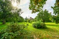 Sunlight streams through tree branches in a field and garden outside a rural homesite in the hills of Finland Royalty Free Stock Photo