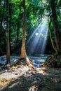 Sunlight streams through trees and a round spider web at Erawan national park with waterfalls in the background Royalty Free Stock Photo