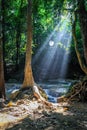 Sunlight streams through trees and a round spider web at Erawan national park with waterfalls in the background larger