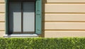 Sunlight on surface of wooden window on yellow vintage building wall behind green bush hedge, Exterior Architecture Background Royalty Free Stock Photo